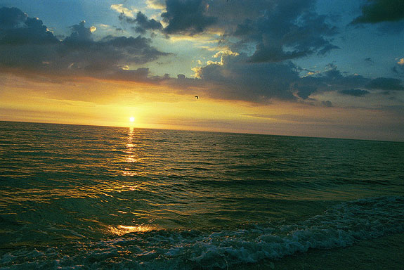 Dead zones begin when rivers carry nitrogen and phosphorus from agricultural fertilizers into the ocean. The Mississippi River delivers these “nutrients” from the American heartland into the Gulf at a rate of 1.7 million tons per year. (Photo: Flickr.)