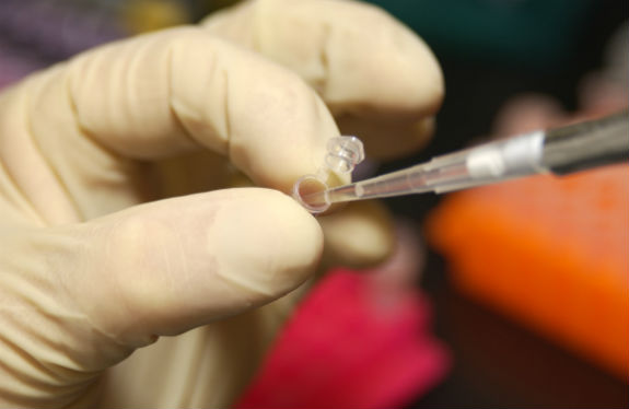 Carl Dausch Jr. claims FDLE forensic technicians falsified DNA swab reports in murder case against him. Photo courtesy: Maggie Bartlett/NHGRI via Wikimedia Commons